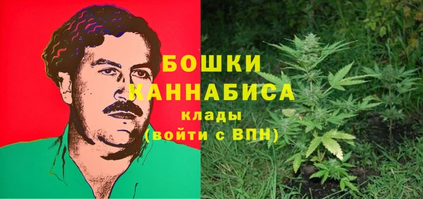 spice Гусиноозёрск