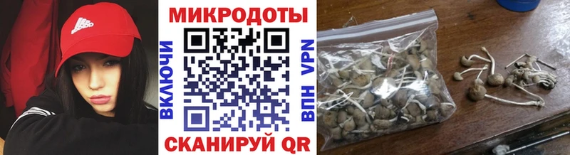 Купить  Полярный  Галлюциногенные грибы ЛСД 